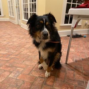 Meet your Posher, Mark